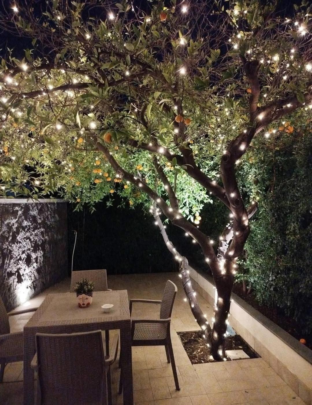 Casa Vacanza Il Mandarino Viagrande Exterior foto